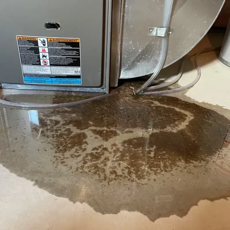 Appliance Leak Cleanup in Archdale, NC